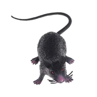 Черная крыса на фотографии с эффектом мистики