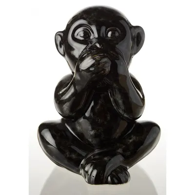 Новое изображение Черной обезьяны: бесплатно в форматах PNG, JPG