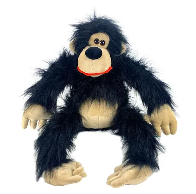 Черная обезьяна: бесплатные фото в высоком разрешении