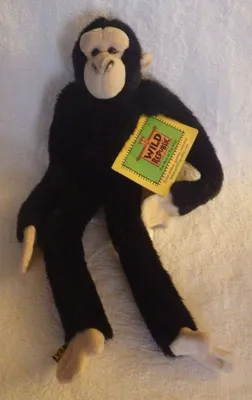 Невиданный взгляд на черную обезьяну: удивительные кадры