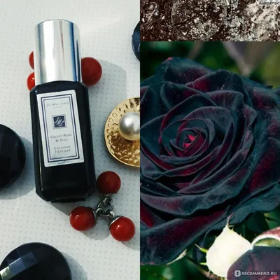 Разнообразие размеров черной розы с болезнью на фото в формате png