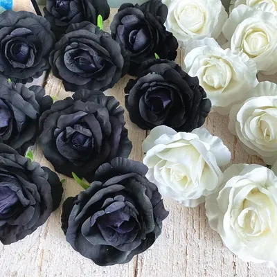 Изображение черно-белой розы для скачивания с разнообразными размерами