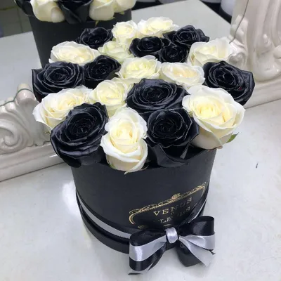 Изображение черно-белой розы с возможностью скачать