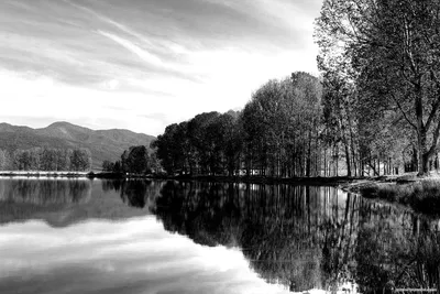 Линии и формы: Искусство черно-белой фотографии в пейзажах