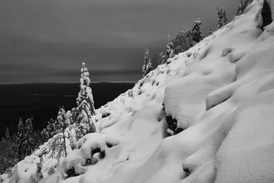 Мистический зимний пейзаж: Черно-белые чудеса