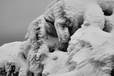 Мелодия зимы: Фотографии в черно-белом стиле