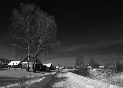 Абстракция зимы: Черно-белые картины природы