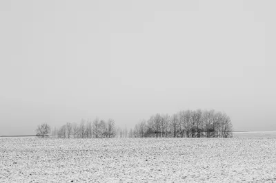 Эстетика зимнего минимализма: Фото в черно-белом формате