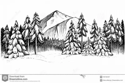 Зимние зарисовки природы: Черно-белые моменты на экране