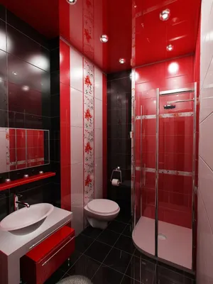 Изображение в черно-красной ванной комнате