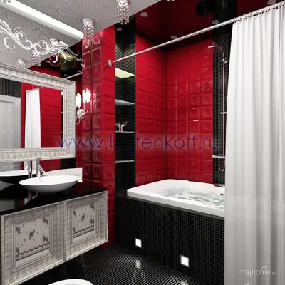 Фотографии ванной комнаты с черными и красными элементами