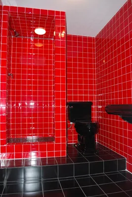 Фотографии ванной комнаты с черно-красными аксессуарами