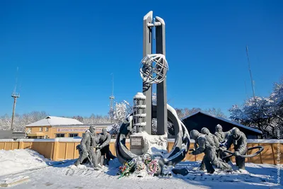 Зимние отражения в Чернобыльской природе: Галерея изображений