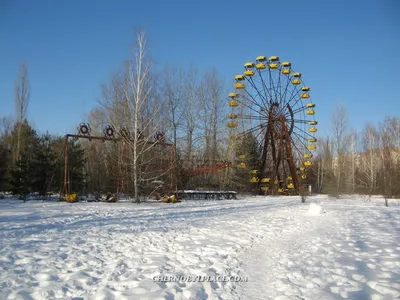 Зимний пейзаж Чернобыльской зоны: Увековеченные моменты