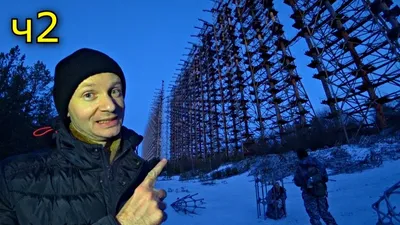Зимние мелодии Чернобыльской экосистемы: Фотогалерея