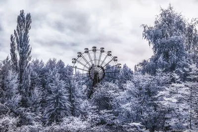 Зимний ансамбль Чернобыльских памятников: Фотогалерея