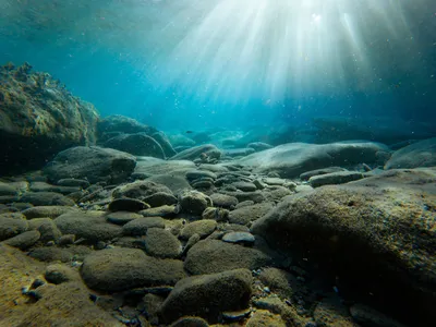 Фото Черного моря под водой в высоком разрешении