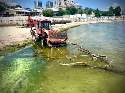 Откройте тайны Черного моря: потрясающее фото под водой