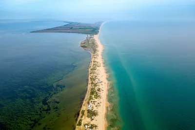 Подводные хроники Черного моря: уникальное фото под водой