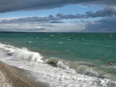 Забытые сокровища Черного моря: впечатляющая подводная фотография