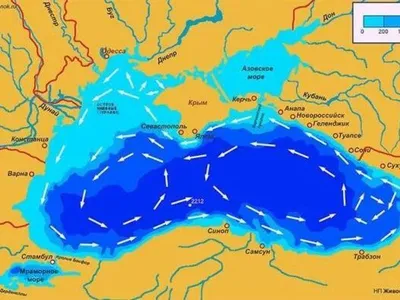 Обои на телефон Черного моря под водой