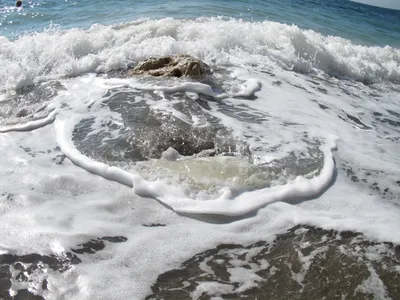 Скачать фото Черного моря под водой бесплатно