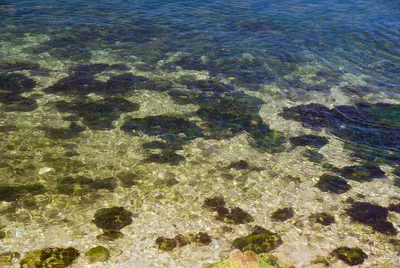 Фото Черного моря под водой в хорошем качестве