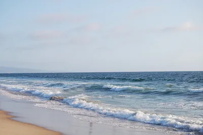 WEBP фото Черного моря под водой