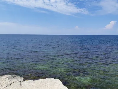 GIF фото Черного моря под водой