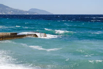 Арт-фотографии Черного моря под водой: наслаждение для глаз и души.