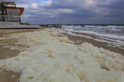 Фото на андроид Черного моря под водой: невероятные картины природы.