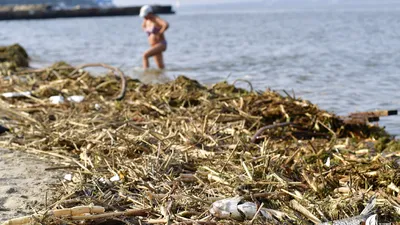 Фоновые фотографии Черного моря под водой: ощутите гармонию с природой.