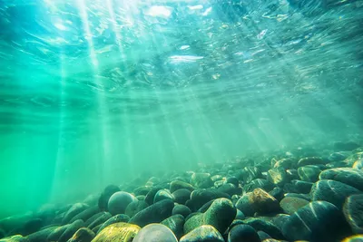 Хранитель древних времен: Мифические руины Черного моря под водой