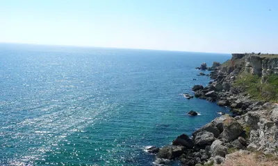 Погружение в глубины: фото экосистемы Черного моря