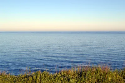 Великий Александрийский риф: подводные пейзажи Черного моря на фото