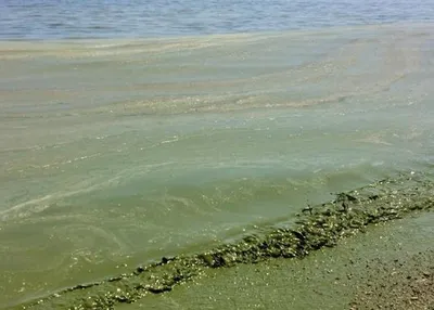 Вид Моря Черного в HD качестве для вашего рабочего стола