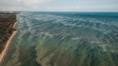 Голубое сердце: прекрасное фото Черного моря с высоты