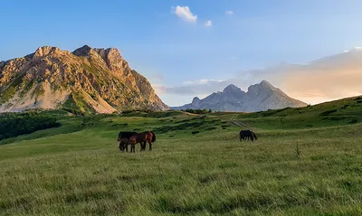 Бесплатные фото Черногории: Изумительные горные панорамы