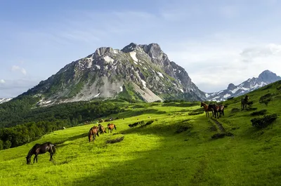 Раскройте все прелести черногорских гор через фото