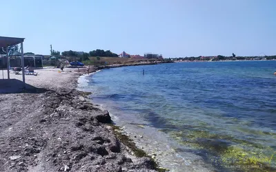 Удивительные виды Черноморского пляжа на фото