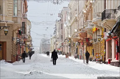 2. Ледяные краски: Фотографии Черновцов зимой