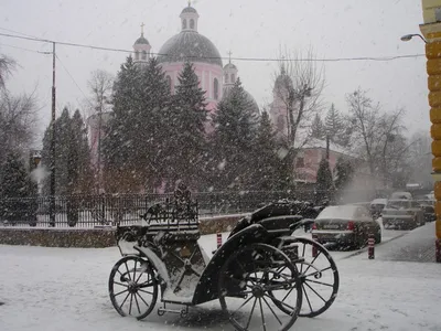 12. Лучшие кадры зимнего Черновцов: Фотогалерея