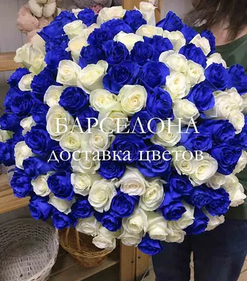 Отражение гармонии: фото Черных и синих роз