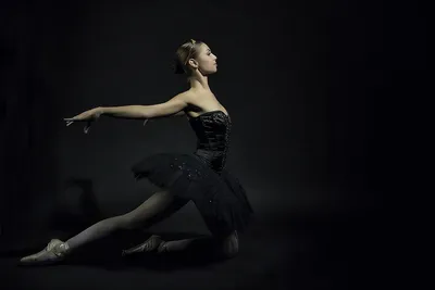 Фото Черного лебедя – танец, который завораживает
