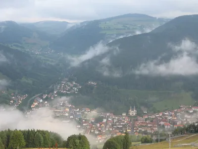 Уникальная красота Черного леса Германии на фото