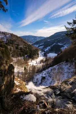 Обои на телефон с фотографией Черного леса Германии