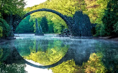 Уникальное фото чертового дерева в стиле HD