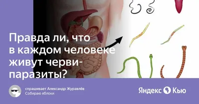 Исследование внутреннего пространства: Фотографии червей