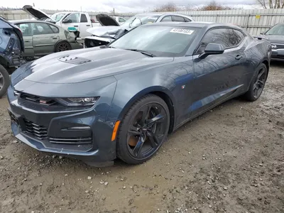 Новые фото Chevrolet Camaro LS 2023: выберите свой размер