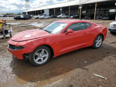 Фото Chevrolet Camaro LT 2023 на фоне заката